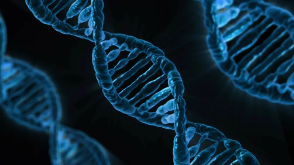 Yapay Zekâ Artık DNA ile Konuşabiliyor: İşte Carbon-X